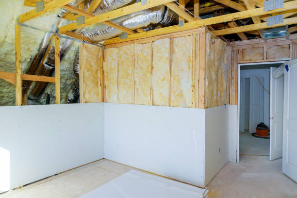 Best Specialty Insulation in Duncanville, TX